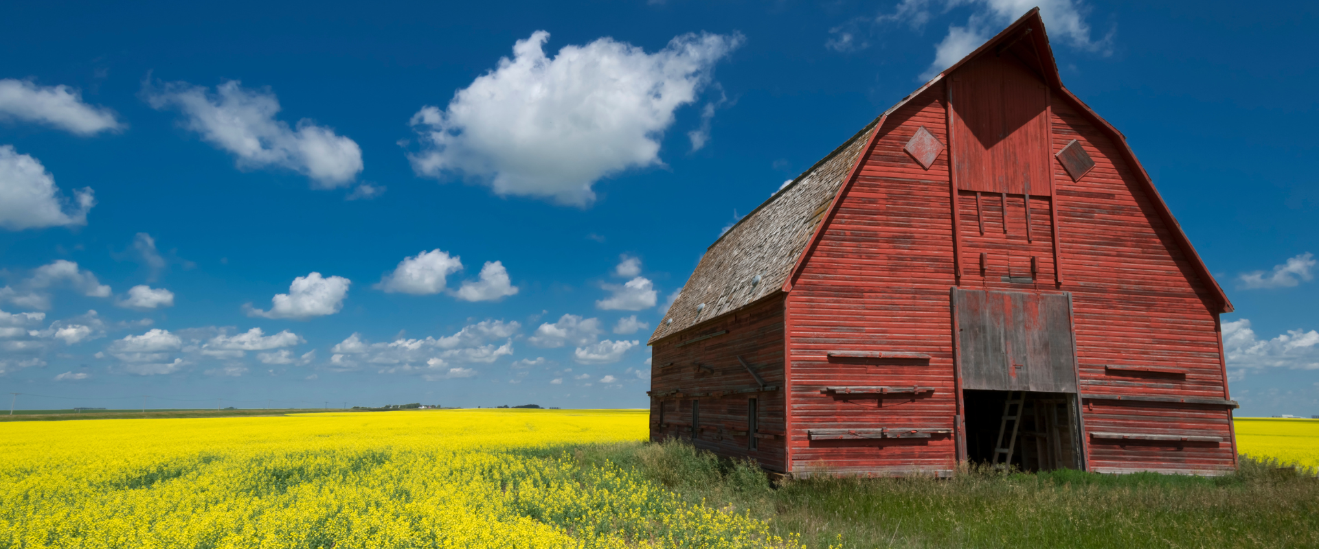 Navigating the Digital Frontier Online Real Estate Auctions vs. In